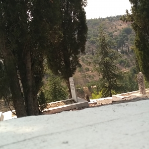 Bilecik Şeyh Edebali Türbesi Çevresi